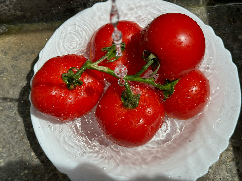 Only the freshest produce is used at Ron's Original Bar & Grille.